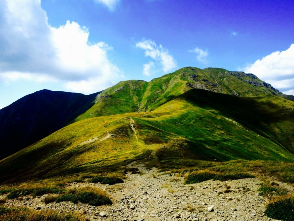 5.1 Alpine Pro