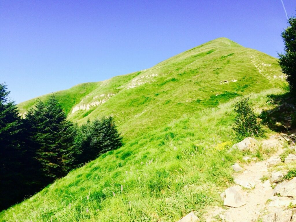 5. Alpine
